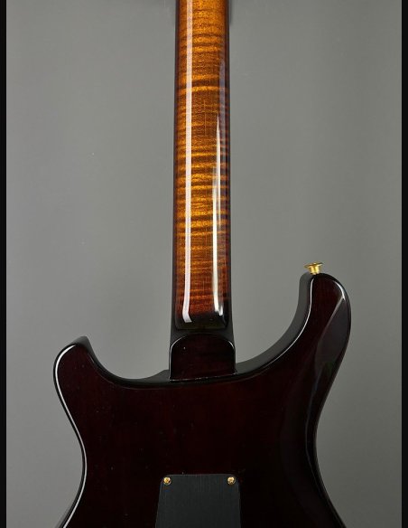 PRS Custom 24 10 Top ZW Wood Library Map Neck