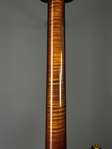 PRS Custom 24 10 Top ZW Wood Library Map Neck