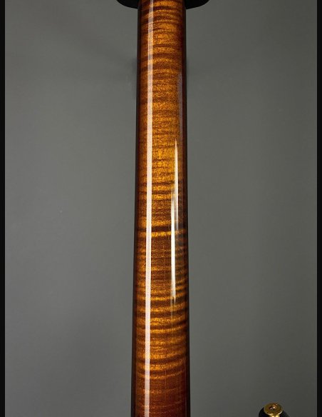 PRS Custom 24 10 Top ZW Wood Library Map Neck