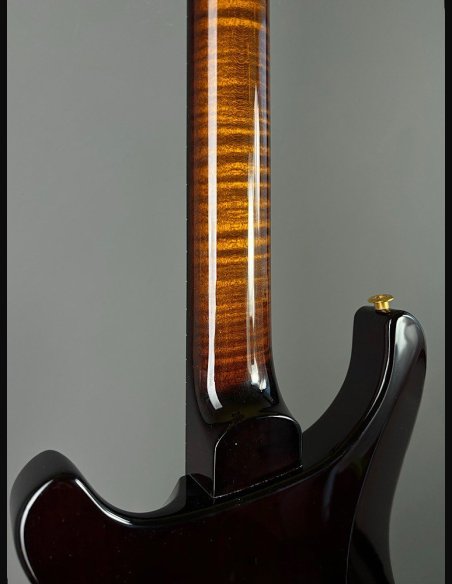 PRS Custom 24 10 Top ZW Wood Library Map Neck