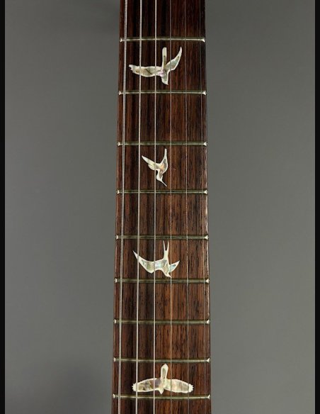 PRS Custom 24 Tr5WB FadeBlue 85/15