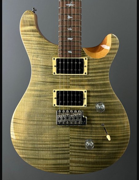 PRS SE Custom 24 Birds TR3WB TrampasGreen 2018
