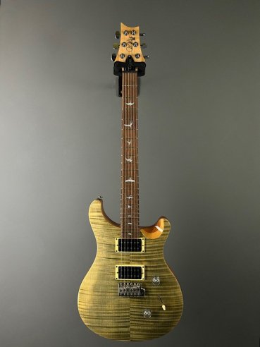 PRS SE Custom 24 Birds TR3WB TrampasGreen 2018