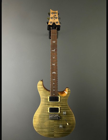 PRS SE Custom 24 Birds TR3WB TrampasGreen 2018