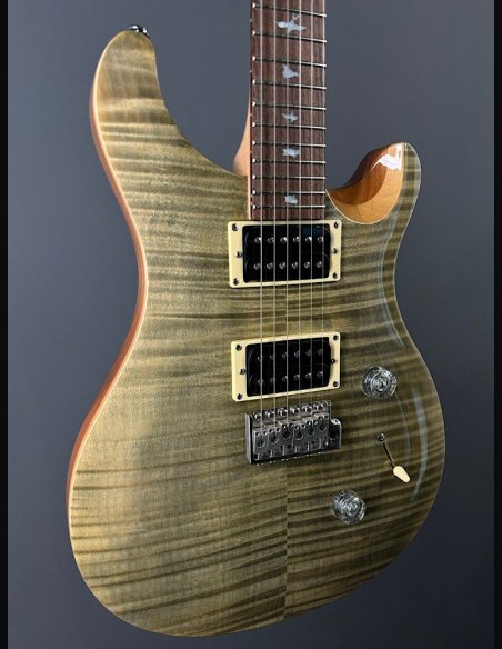 PRS SE Custom 24 Birds TR3WB TrampasGreen 2018