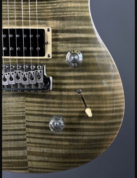 PRS SE Custom 24 Birds TR3WB TrampasGreen 2018