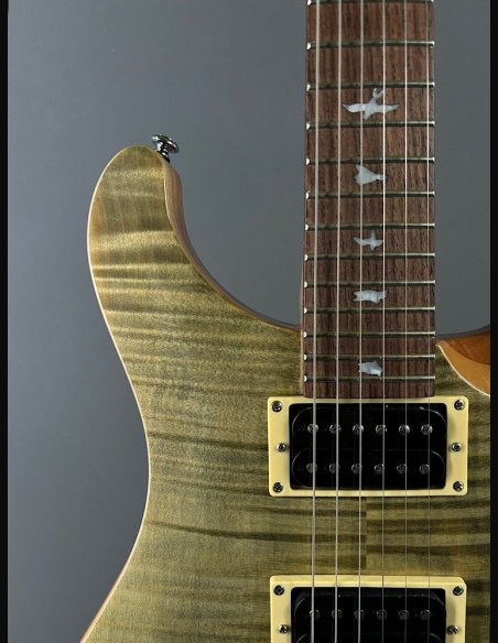 PRS SE Custom 24 Birds TR3WB TrampasGreen 2018