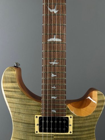PRS SE Custom 24 Birds TR3WB TrampasGreen 2018
