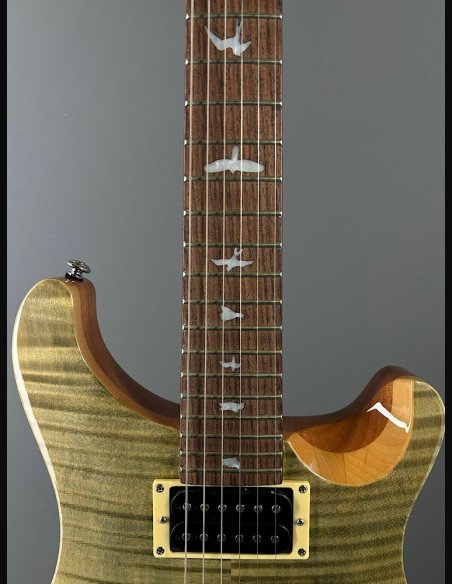PRS SE Custom 24 Birds TR3WB TrampasGreen 2018