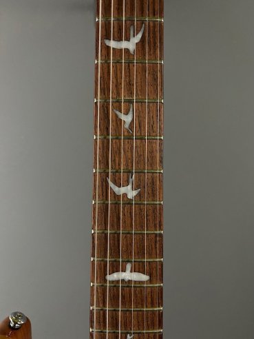 PRS SE Custom 24 Birds TR3WB TrampasGreen 2018