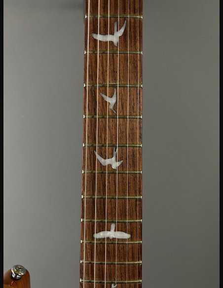 PRS SE Custom 24 Birds TR3WB TrampasGreen 2018