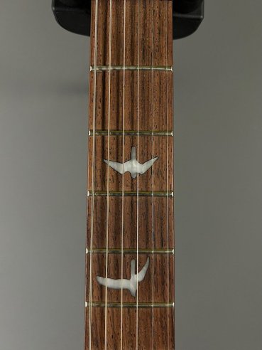 PRS SE Custom 24 Birds TR3WB TrampasGreen 2018