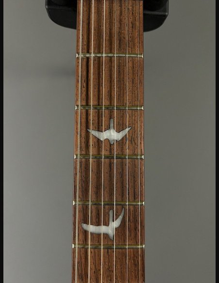 PRS SE Custom 24 Birds TR3WB TrampasGreen 2018