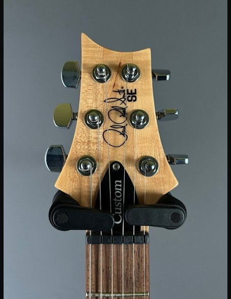 PRS SE Custom 24 Birds TR3WB TrampasGreen 2018