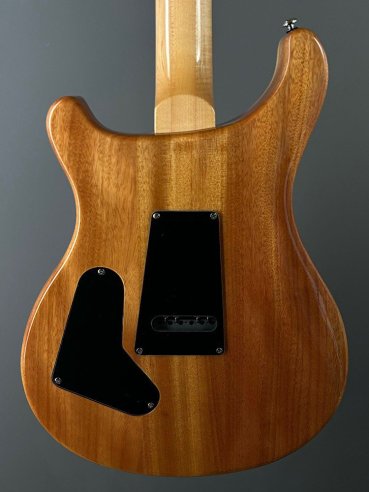 PRS SE Custom 24 Birds TR3WB TrampasGreen 2018