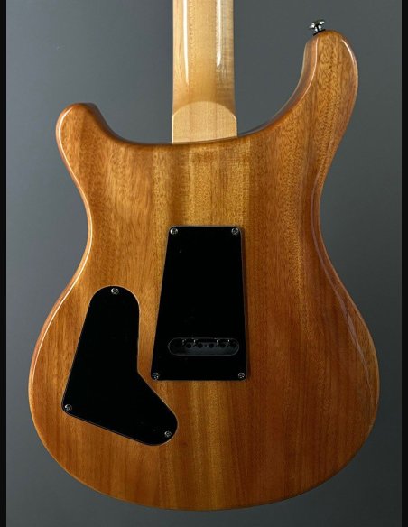 PRS SE Custom 24 Birds TR3WB TrampasGreen 2018