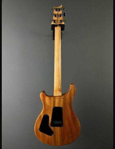 PRS SE Custom 24 Birds TR3WB TrampasGreen 2018