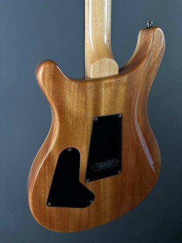 PRS SE Custom 24 Birds TR3WB TrampasGreen 2018