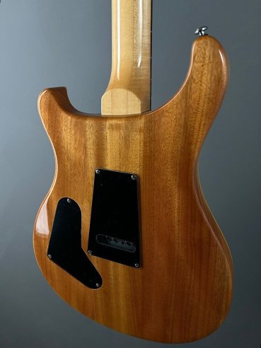 PRS SE Custom 24 Birds TR3WB TrampasGreen 2018