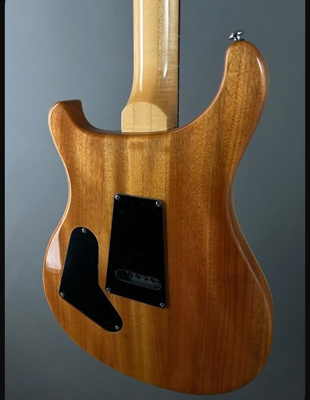 PRS SE Custom 24 Birds TR3WB TrampasGreen 2018