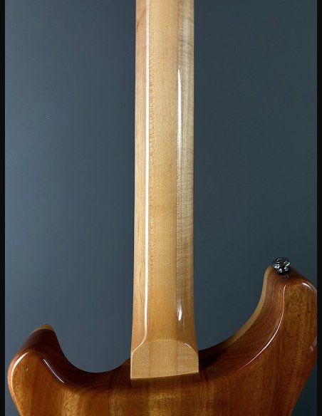 PRS SE Custom 24 Birds TR3WB TrampasGreen 2018