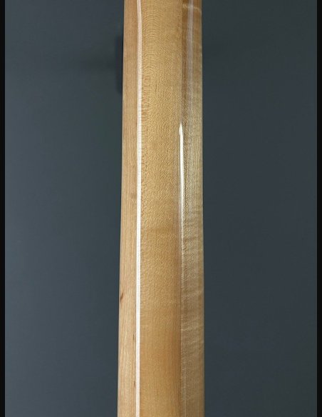 PRS SE Custom 24 Birds TR3WB TrampasGreen 2018