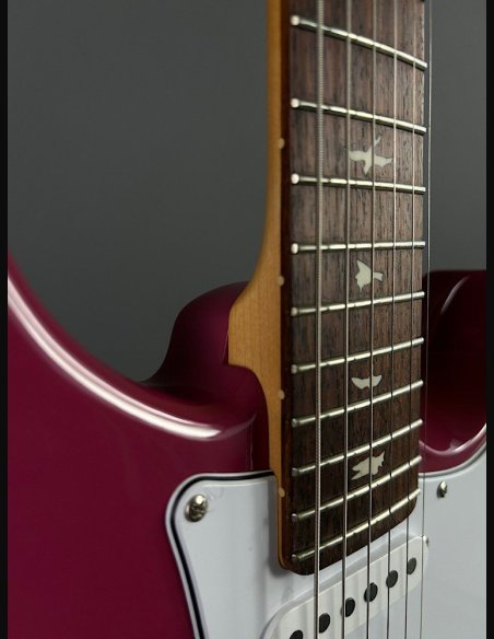 PRS SE Silver Sky Dragon Fruit