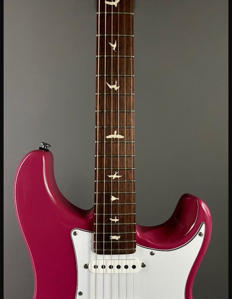 PRS SE Silver Sky Dragon Fruit