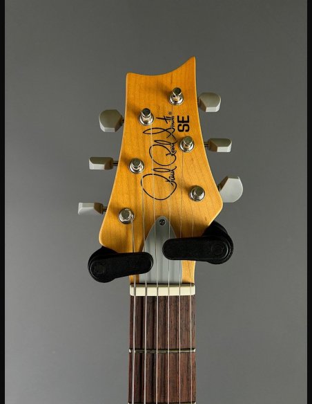 PRS SE Silver Sky Dragon Fruit