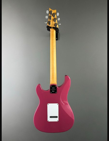 PRS SE Silver Sky Dragon Fruit