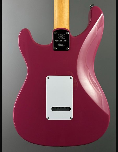 PRS SE Silver Sky Dragon Fruit