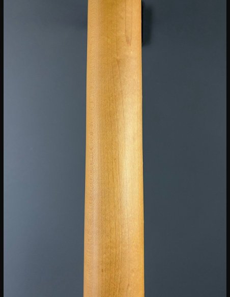 PRS SE Silver Sky Dragon Fruit