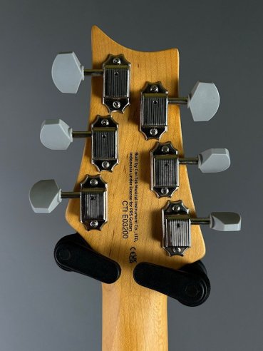 PRS SE Silver Sky Dragon Fruit