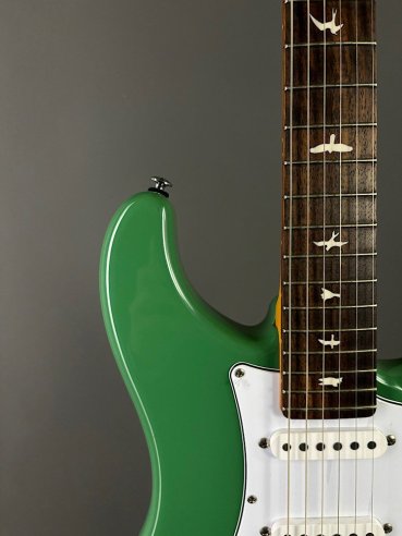 PRS SE Silver Sky Ever Green