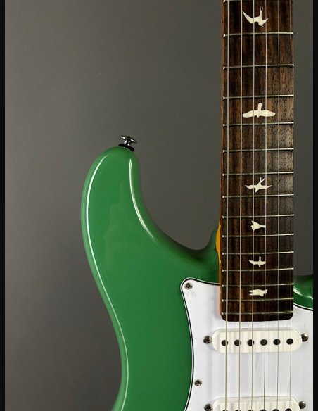 PRS SE Silver Sky Ever Green
