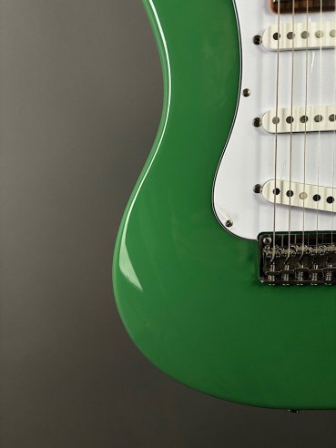 PRS SE Silver Sky Ever Green
