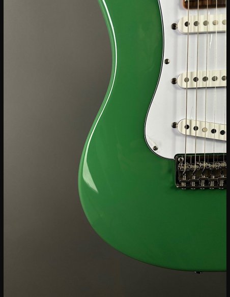 PRS SE Silver Sky Ever Green