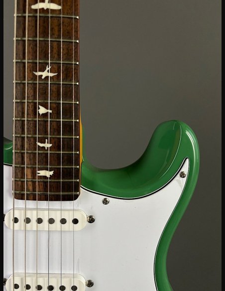 PRS SE Silver Sky Ever Green