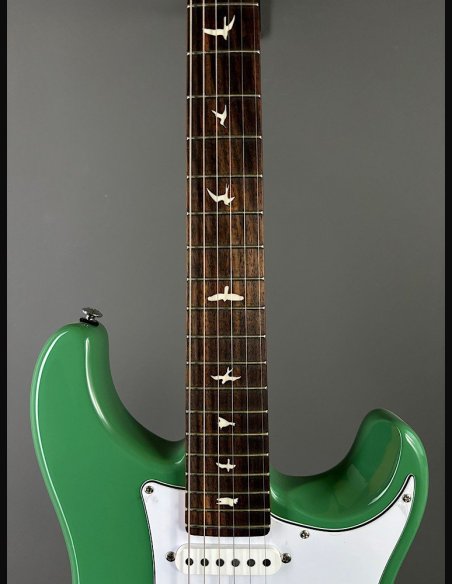 PRS SE Silver Sky Ever Green