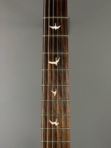 PRS SE Silver Sky Ever Green