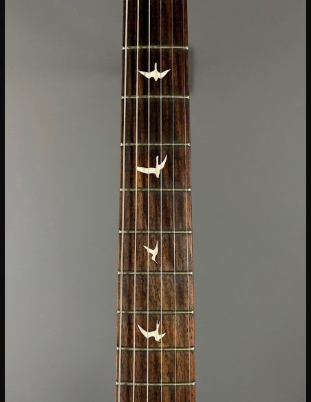 PRS SE Silver Sky Ever Green