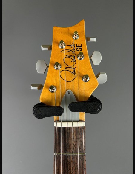 PRS SE Silver Sky Ever Green