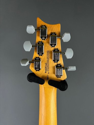 PRS SE Silver Sky Ever Green