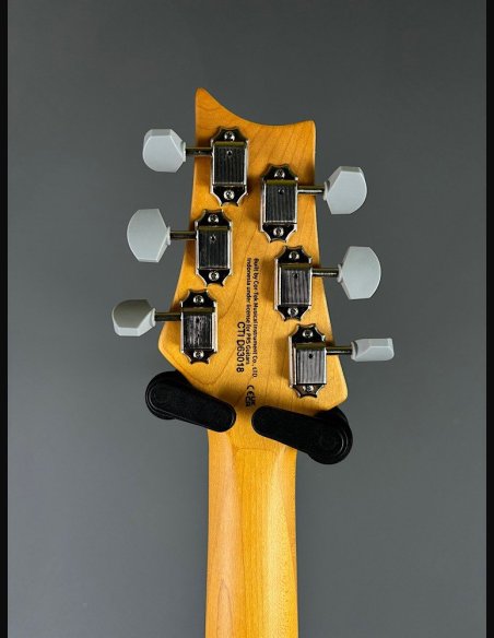 PRS SE Silver Sky Ever Green