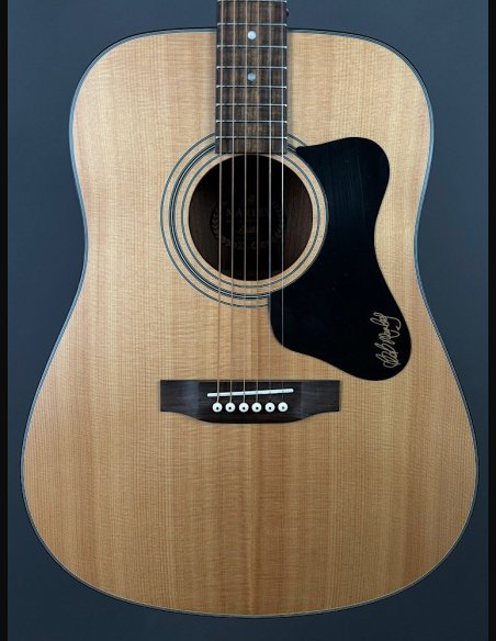 Guild A20 Bob Marley c/bag