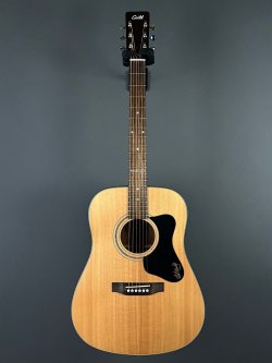 Guild A20 Bob Marley c/bag 2