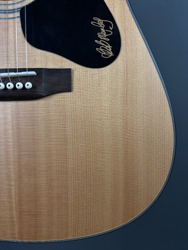 Guild A20 Bob Marley c/bag