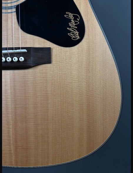 Guild A20 Bob Marley c/bag