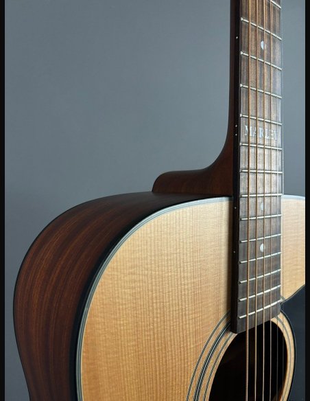 Guild A20 Bob Marley c/bag