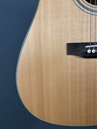 Guild A20 Bob Marley c/bag